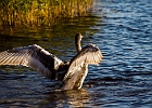 am Schalsee